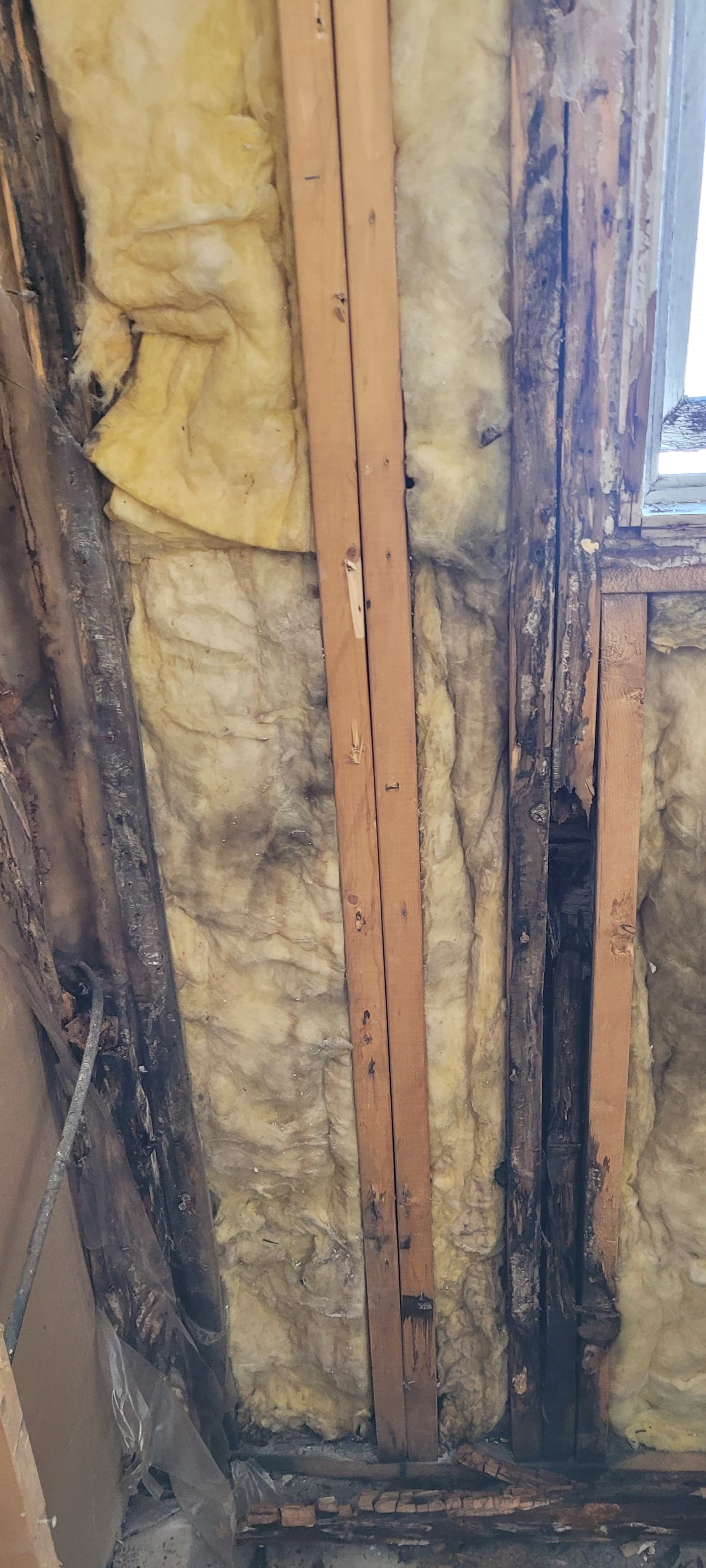 Mold & Water Damage Restoration - Before