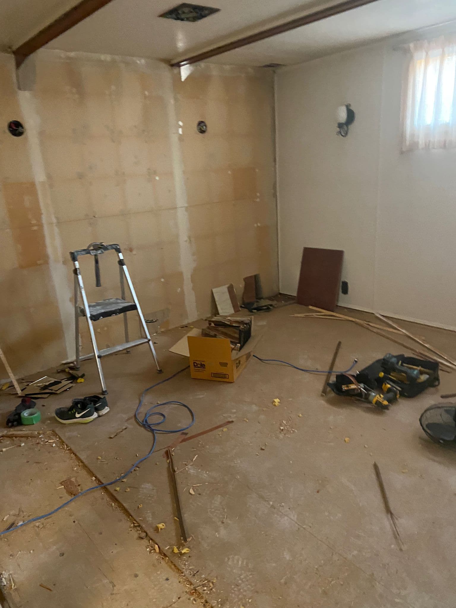 Basement Transformation - Before